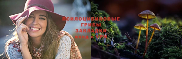 мет Вяземский